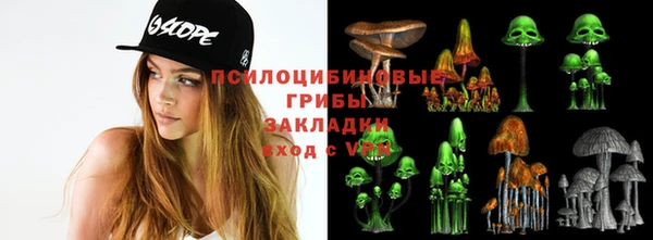 мет Лагань