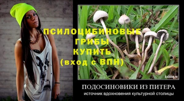 мет Лагань