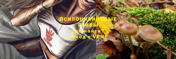 мет Лагань