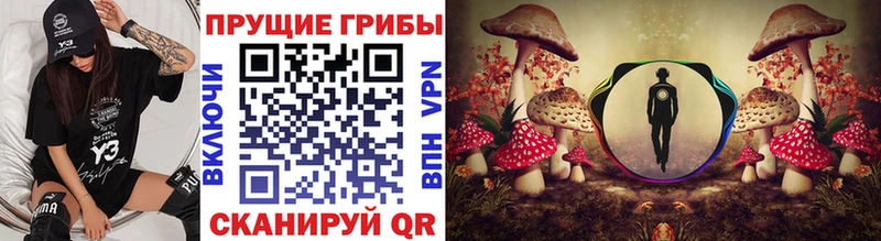 Купить где  Пласт  Псилоцибиновые грибы прущие грибы 